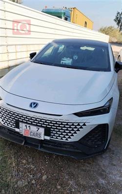 شانجان يوني في